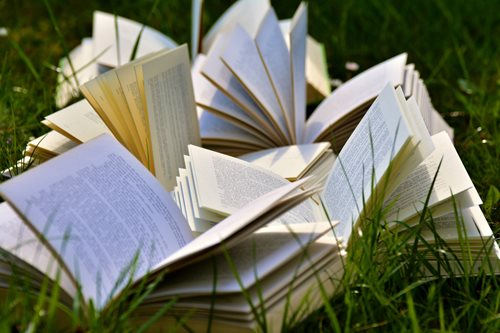 book-pages-books-close-up-grass-415078.jpg lots of book sitting in the grass