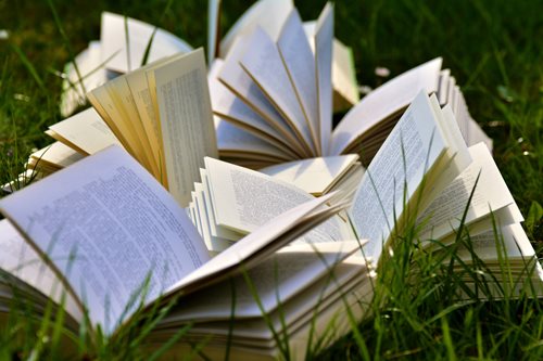 lots of book sitting in the grass